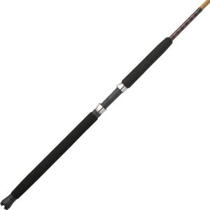 Tiger Casting Fishing Rod